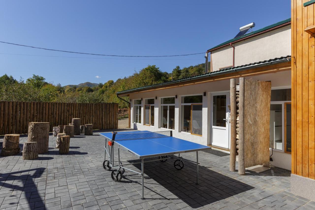 Villa Buturuga Mica Nehoiu Esterno foto